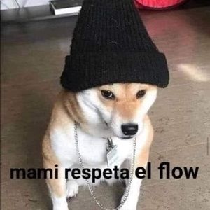 Meet your Posher, Elio